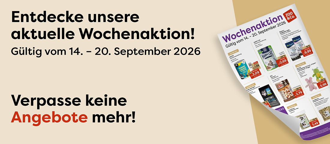 Entdecke die aktuelle Wochenaktion!