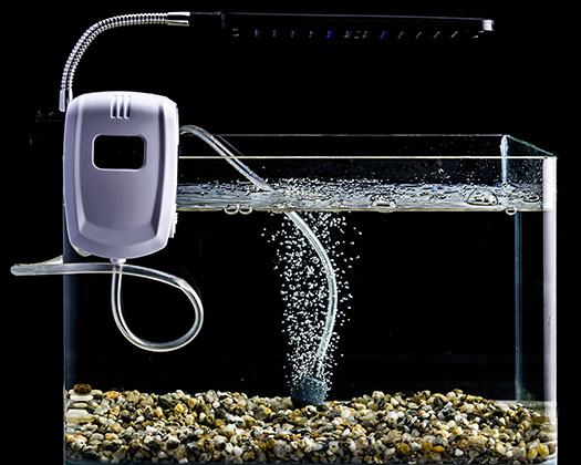 Aquaristik CO2-Anlage